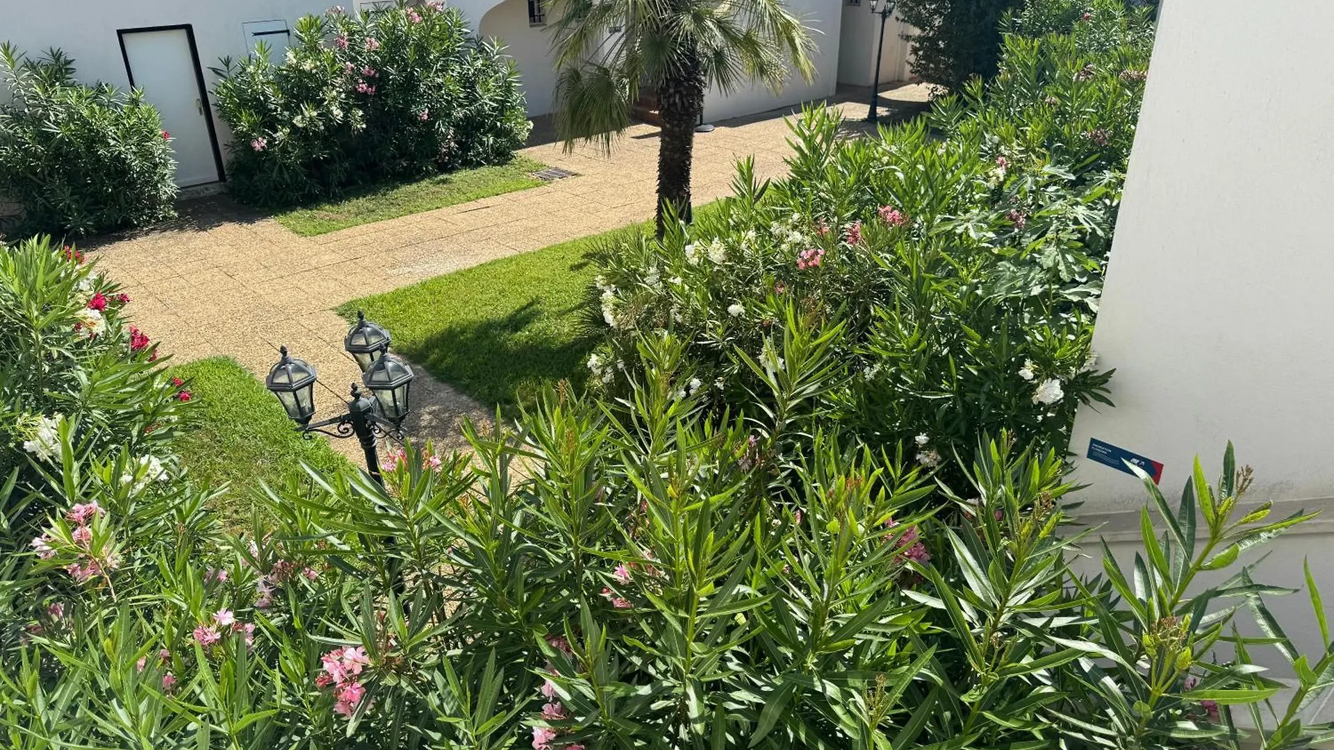 Beach Cannes Bungalows Le Cannet Francia